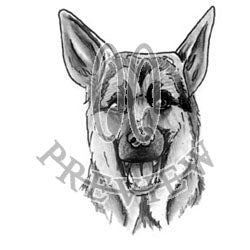 Gold Line Art of German Shepherd Dog Head Stock Vector  Illustration of  hand face 216389714