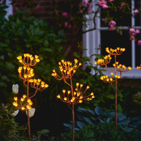 Fennel solar branch fennel stake lights in a garden