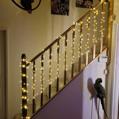Hayley Page wrote a review about Copper Wire Fairy Lights