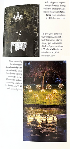 Our Dandelion Solar Stake Light in Ireland's Homes Interiors and Living