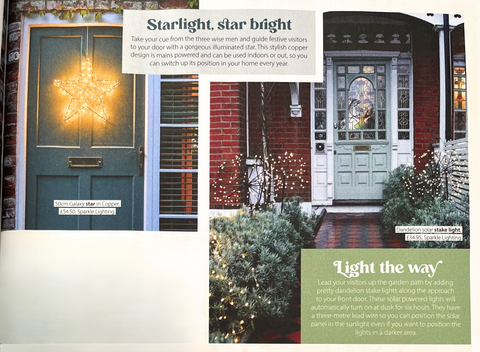 Our Light Up Star Light and Dandelion Solar Stake Light in Home Style Christmas 2023