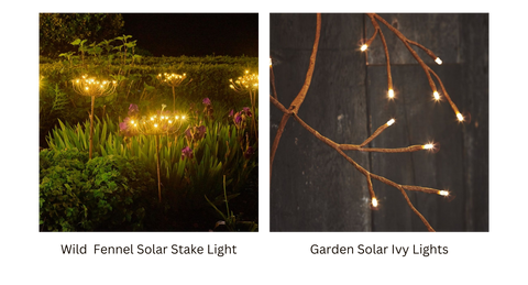 Our Wild Fennel Solar Stake Lights and Garden Solar Ivy Lights in Homes and Gardens