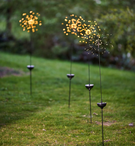 Solar Starburst Light on the pathway