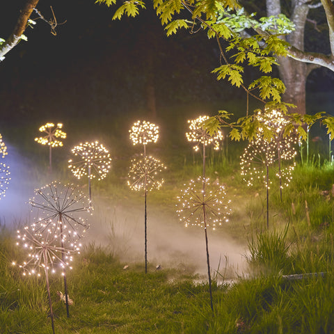 dandelion solar stake lights outside