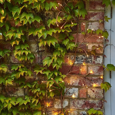 Garden Solar Ivy Lights - sparkle.lighting