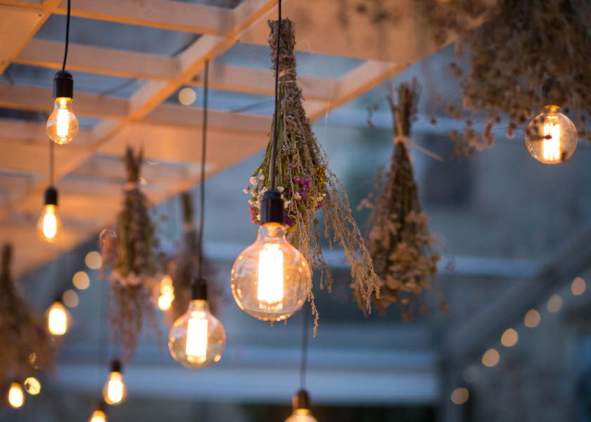 fairy lights and dried lavender in garden