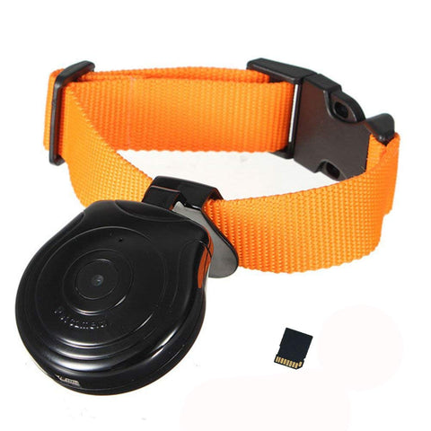 Best Dog Collar Camera [2020 Reviews 