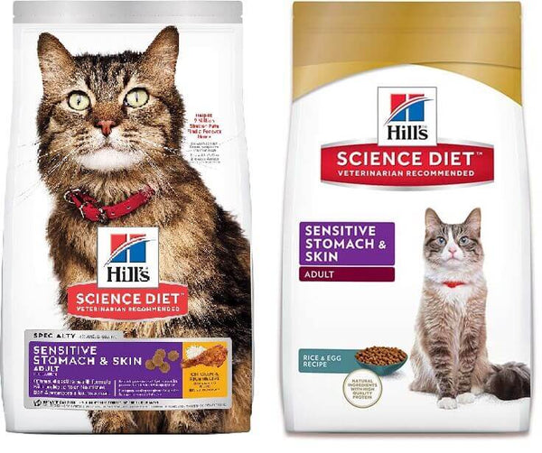Best Cat Food for Sensitive Stomach in 2020 – Pet Pet Buy