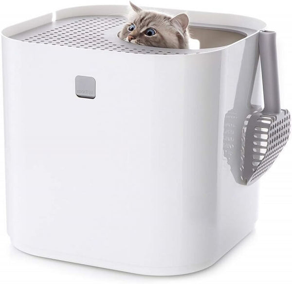 Best Top Entry Cat Litter Boxes 2020 Pet Pet Buy