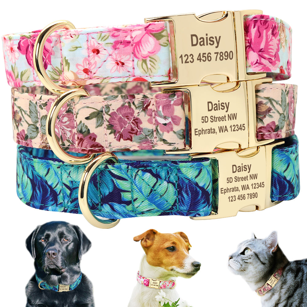 dog id collars personalized