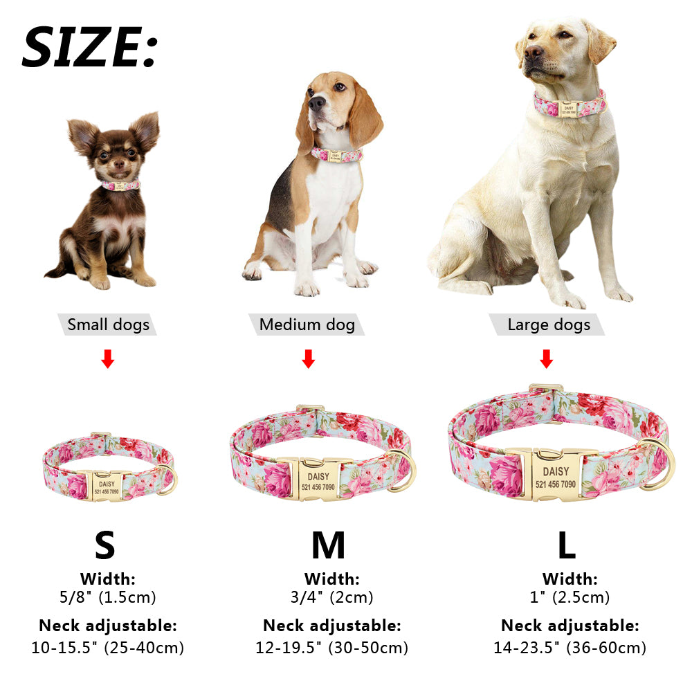 dog collars for medium dogs