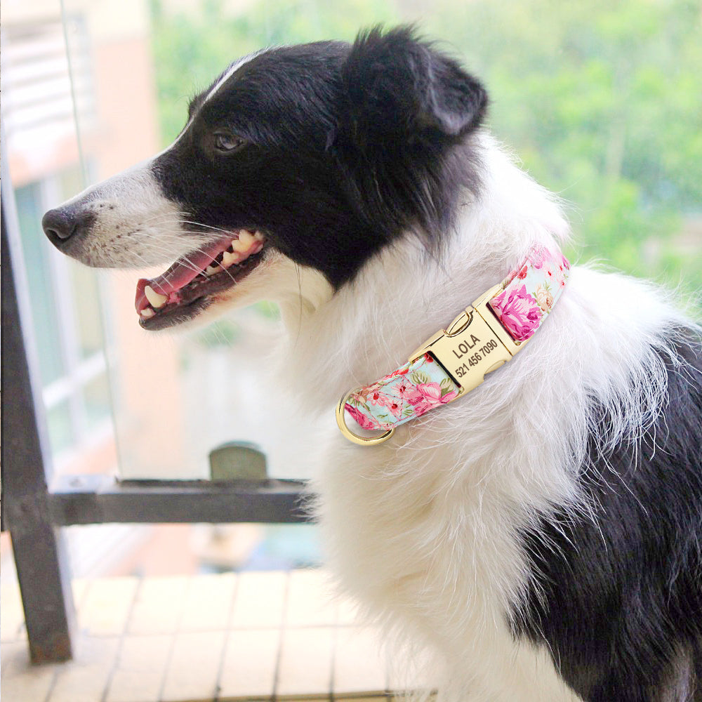 personalized nylon dog collar