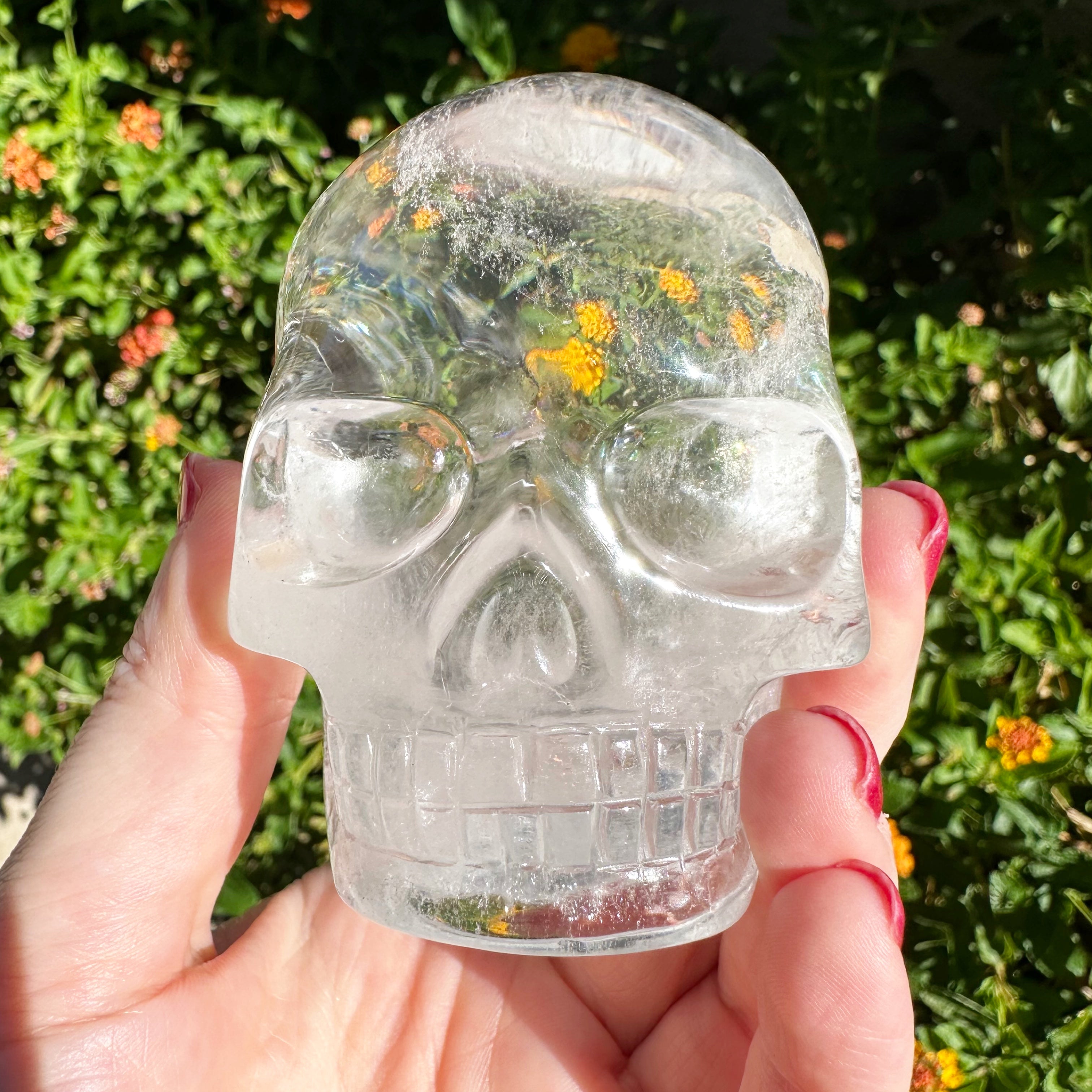 Lemurian Quartz Crystal Skull With Rainbows Carved by Leandro de Souza
