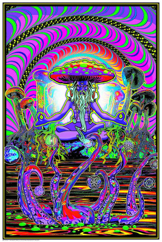 zeplin black light poster