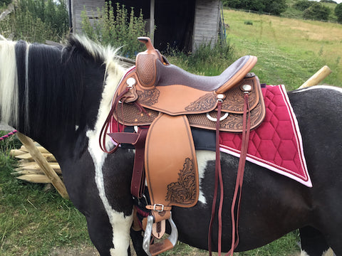 Clare's saddle