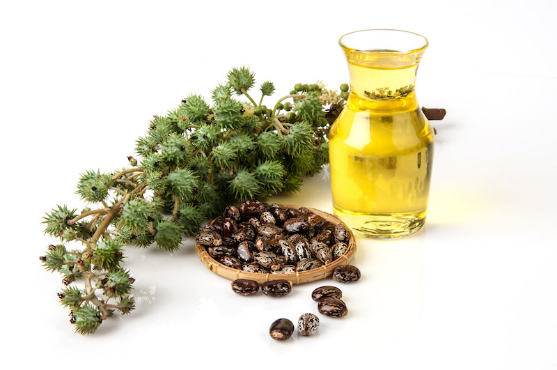 Castor Oil – Aussie Candle Supplies