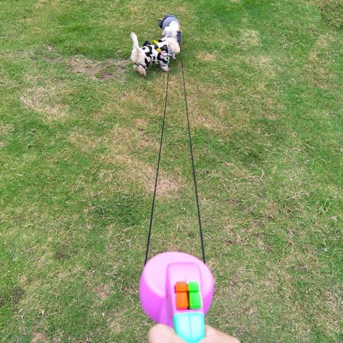 Wigzi Dual Doggie Walks