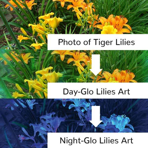 How a Photo of Lilies Became the fabARTonstuff Night-Glo Lilies Collection of Activewear