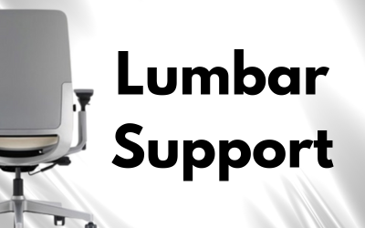 Steelcase Amia Lumbar Support