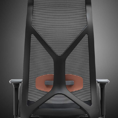 Nova Chair Lumbar Support