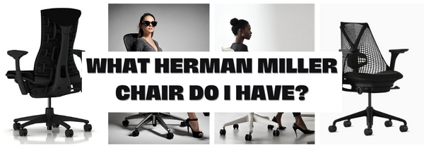 What Herman Miller Chair Do I Have