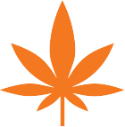 Orange Marijuana Leaf