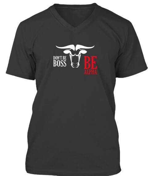 Herren T-Shirt - mit V-Ausschnitt L / Schwarz / Bull