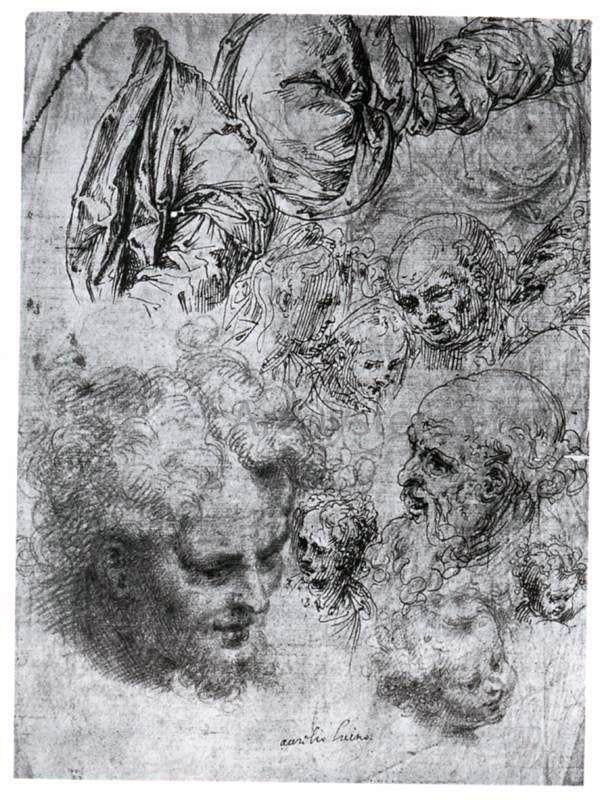 Sheet of Studies of Figures and Heads by Aurelio Luini - Canvas Art Print
