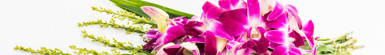 Orchids Gifts Delivered to Canada