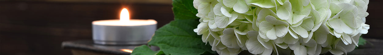 Sympathy Flower Gifts Delivered to Canada