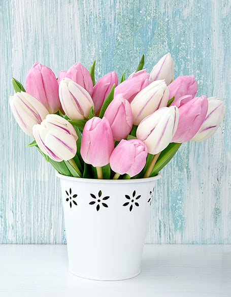 Tulips Gifts Delivered to Canada