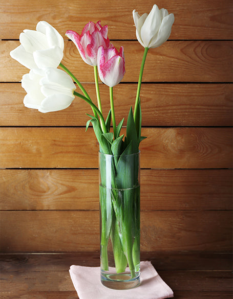 Bud Vase Display Gifts Delivered to Canada