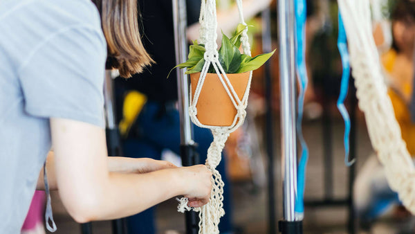 Atlanta Macrame Beginner Class - Plant hanger Workshop in Chamblee