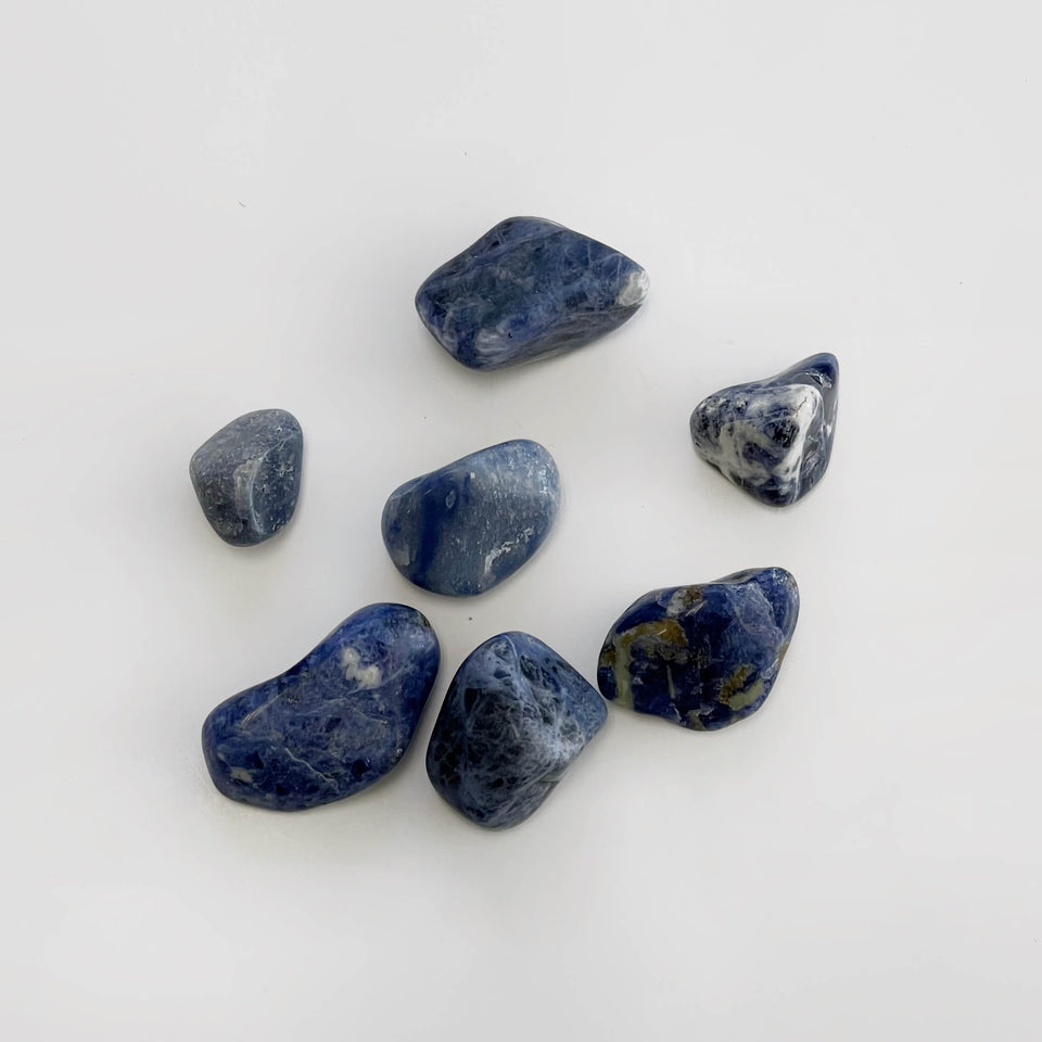 Sodalite Tumbled Stone  Earthbound Trading Co.