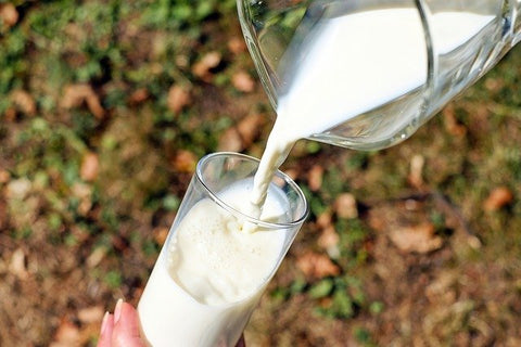 vitamin d in fortified milk