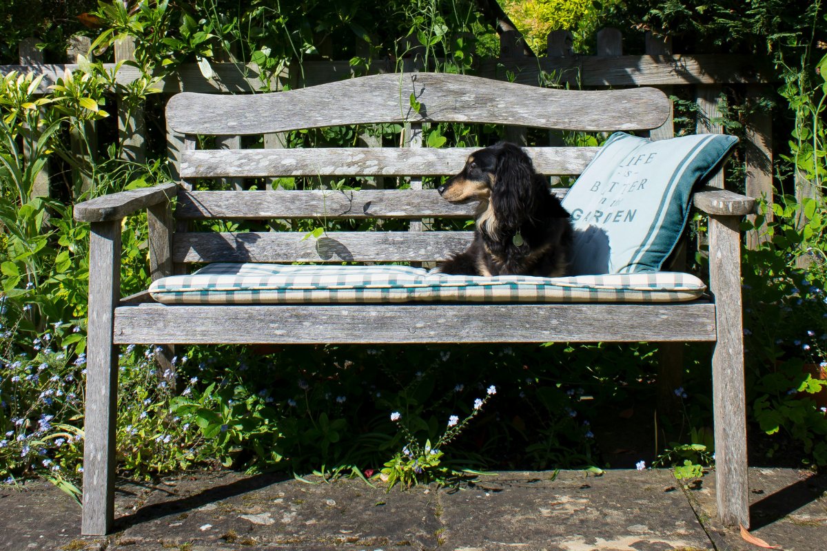 Outdoor Garden Bench in Sunshine