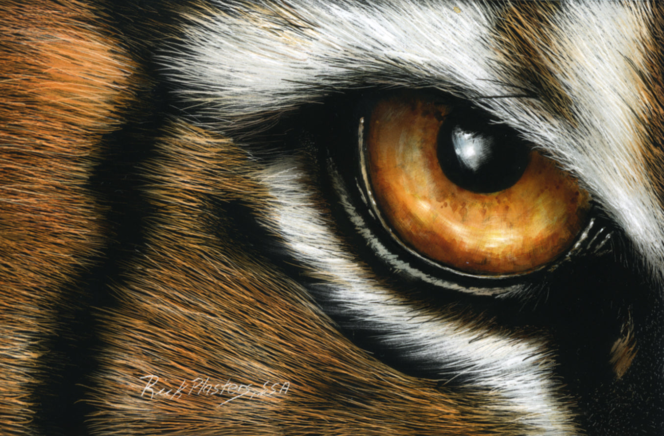 tiger eye drawing