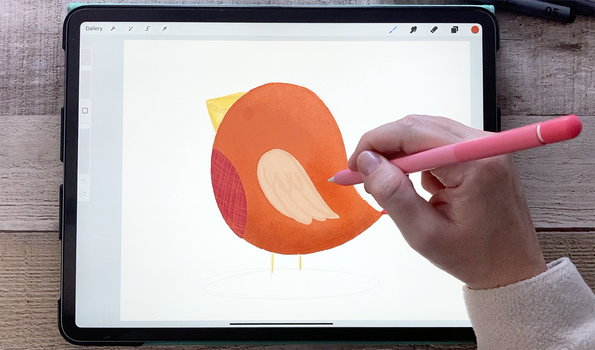 Illustrating birds in Procreate