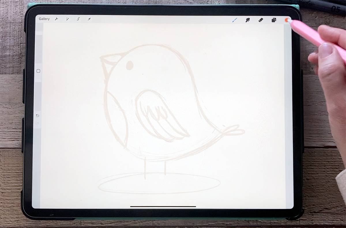 How to sketch a bird in Procreate