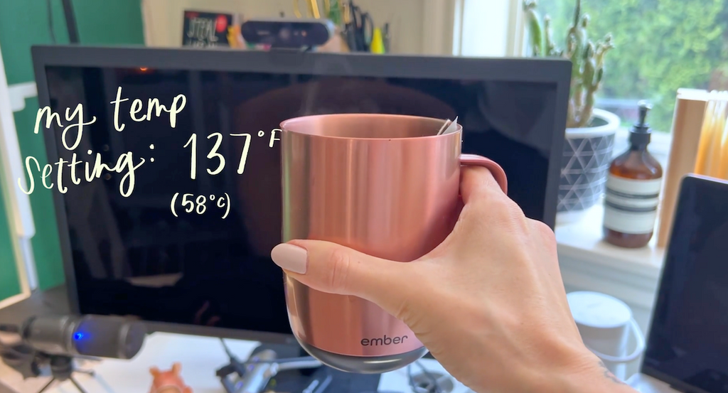 Temperature controlled mug