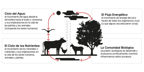 ciclo natural