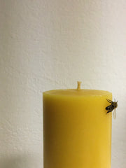 L Bienenwachskerze von apidae candles mit Biene