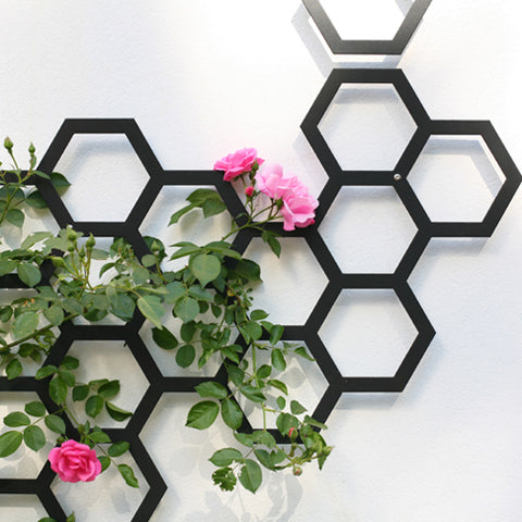 Hexagonal Trellis with flowers