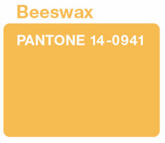 Beeswax Pantone Color