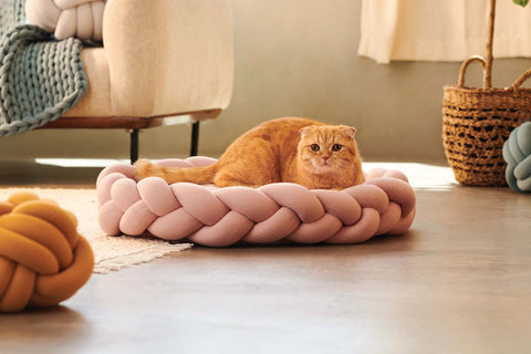 shhh cats can also use these beds