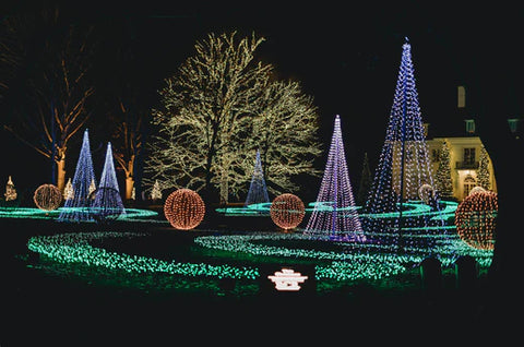 The Best Flagpole Christmas Tree Light Kits - 1
