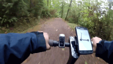 bikering phone mount