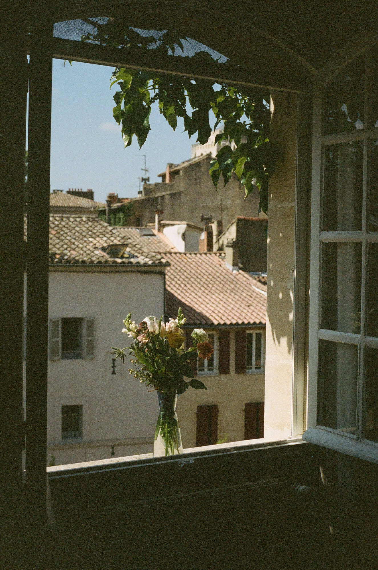 Flowers in Avignon
