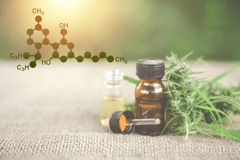 Benefits Of CBD Oil