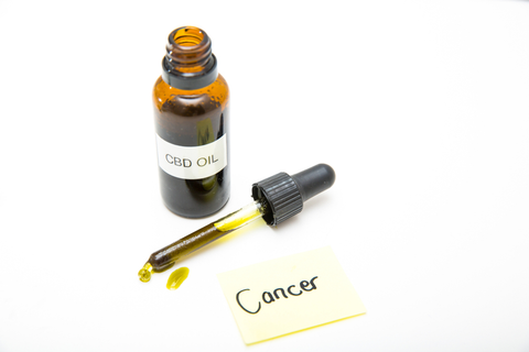 cbd oil for cancer